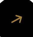 Frame 1984079302